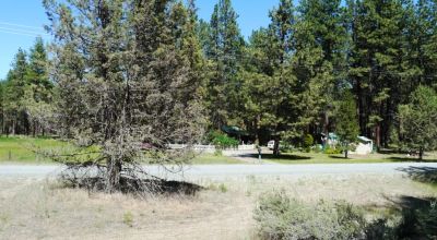 Bonanza Oregon land - 2 adjoining lots with Trees - Power at Road