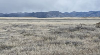 Mountain Views just East of IH80 South of Mill City Nevada Animals allowed