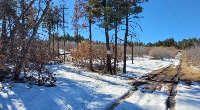 Sherwood Forest 1 acre near Torreon New Mexico - Base of the Manzano Mountains
