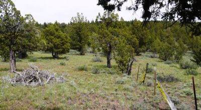 20 acres Oregon Forested Mountain land  near Lakeview & Drews Gap Summit