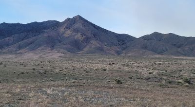 23 acres with Wide Open Views - Scenic Crescent Valley Nevada - BLM lands cross road