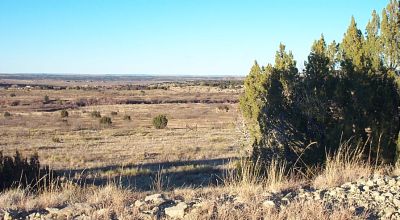 Scenic New Mexico land with Dry Wash on Back of property 5+ acres