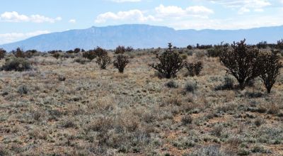 Rio Rancho New Mexico 1-acre parcel Site builds Mobiles ok