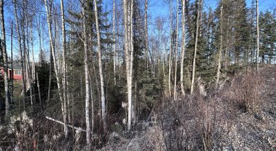 Residential Treed Parcel - Western Outskirts Wasilla Alaska - Backs to Open Space