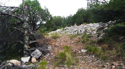 Privacy on dead-end road - Timberon New Mexico on hill Easterly facing