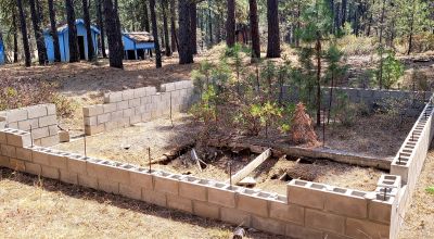 Huge trees. Wet weather stream in back * Fixer upper  or Tear it down and start over again