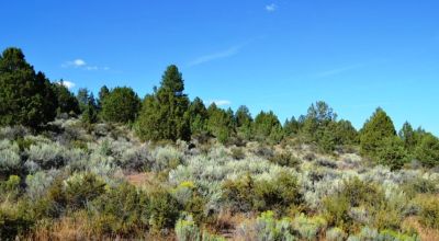 Sprague River Valley - Views - Power - Paved Road Access - Oregon land