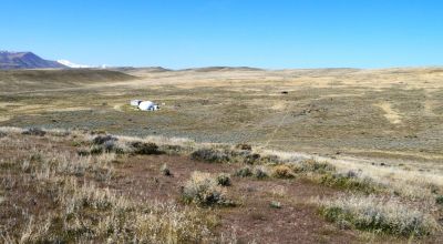 80 acres of Rolling Hills  only $49,000