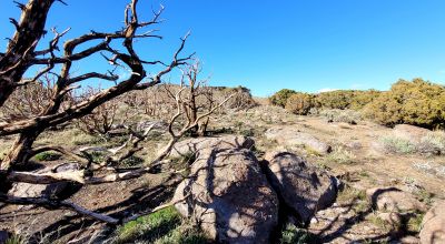 Mountain Land South of Pyramid Lake - Rock Outcroppings - Views Overlooking Palomino Valley