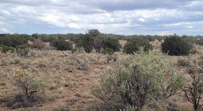 30 acre Central New Mexico Property Windmill Ranch Excellent Roads. Power at Road