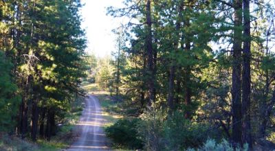 Adjoins Forest Service lands  3 treed lots * 2 together & 1 lot separted by a lot. Buy 1 or 2