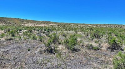 20 acres rolling hills Crescent Valley Nevada Pioneer Pass