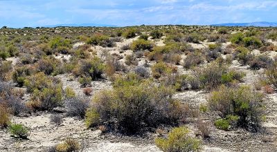1 Full Section of  Nevada Desert & SAND HILLS  *  1 mile by 1 mile *