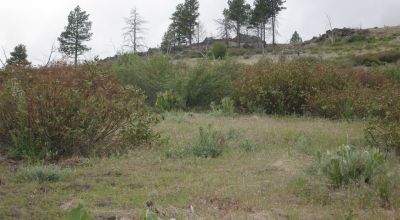 On Hill - Klamath County Oregon land - Camp RV build