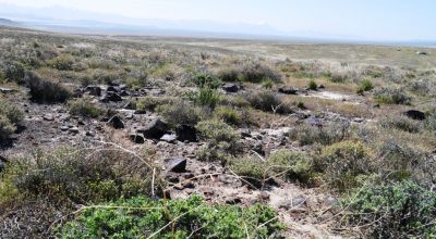 80 acres of Rolling Hills  only $49,000