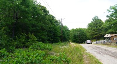 East Texas - Backs to small arm of Cedar Creek Lake - Lots of Trees