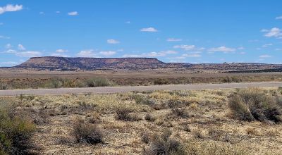 Hwy 509 Frontage - Power at road - Near Ambrosia Lake - Four 1-acre parcels available