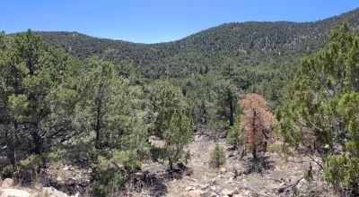 Santa Fe County New Mexico 5 acres in the Mountains - Seasonal Creeks