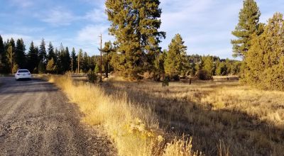 13 Town Lots in Sprague River - 7 lots together and group of 6 lots together