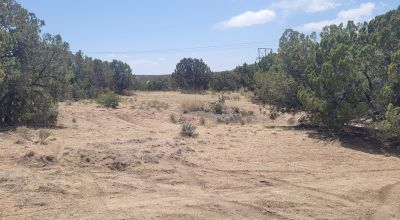 Surrounded by Santa Fe National Forest - Near Las Campanas and Golf Course - 8 Miles from Santa Fe