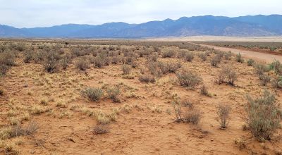 Rare 4 adjoining lots totaling 4 acres - Central New Mexico - Off Grid - No Restrictions