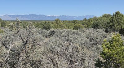 Taos County - Tres Piedras New Mexico 1 acre CAMP, RV, BUILD