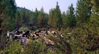 Private 481 acres - 3 sides Winema National Forest - Cooks Canyon - Pines Aspens Spruce Firs