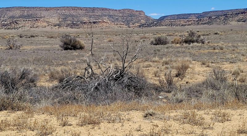 Hwy 509 Frontage - Power at road - Near Ambrosia Lake - Four 1-acre parcels available