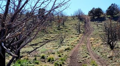 Mountain Land South of Pyramid Lake - Rock Outcroppings - Views Overlooking Palomino Valley