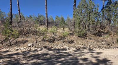 .5 Acres Water on Road, Power Nearby, Timberon NM