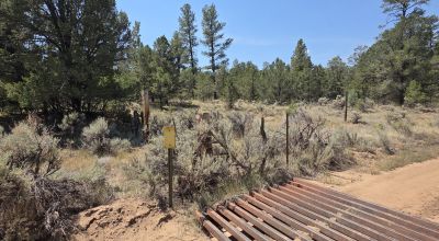 New Mexico Forested Mountain land - Borders Santa Fe National Forest & BLM Lands