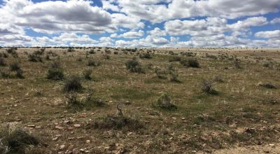 Nearly Ten Acres with Platted Road Access - Southeastern Oregon