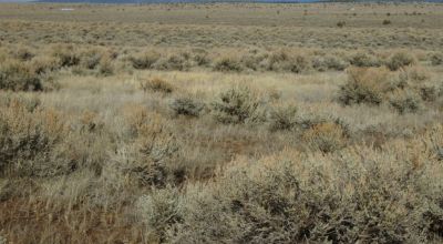 1/2 acre Northern New Mexico. Taos Tres Piedras. Distant mountain views.