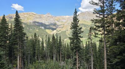 Ouray Colorado -  Red Mountain Mining District- 10 Acres Treed Mountain land