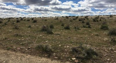 Nearly Ten Acres with Platted Road Access - Southeastern Oregon