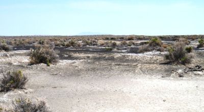 Classic Nevada Desert - Just off Hwy 95
