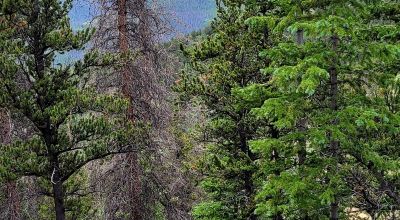 5 Historic Patented Mining Claims - Old Mining Buildings near Bonanza Colorado