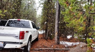 Pristine forest land with Crescent Creek - Trees - Meadows