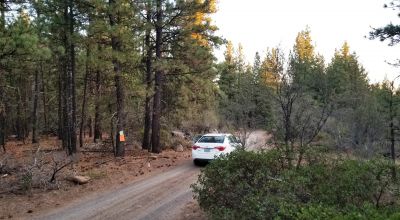 Forested Lot  Camp * RV * Build