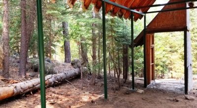 Heavily Forested property with incomplete steel pole metal roof shed/barn