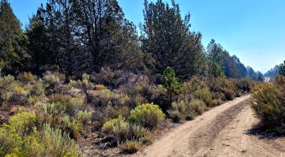 Sprague River Valley Views * Trees * Mobiles, modulars, site-builds ok