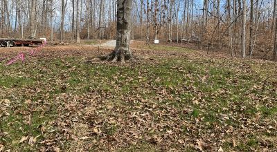 Lake Lot Hartwell Ready To Build 1/3 Acre