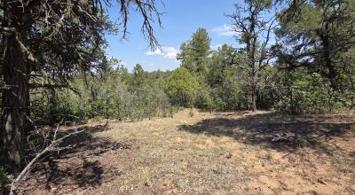 New Mexico Forested Mountain land - Borders Santa Fe National Forest & BLM Lands
