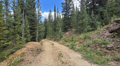 Ouray Colorado -  Red Mountain Mining District- 10 Acres Treed Mountain land