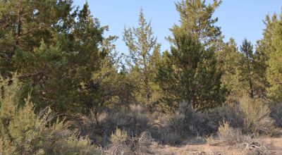 Sprague River & Valley Views * paved Access * Power