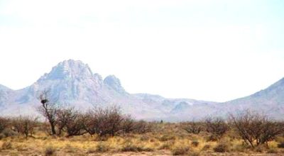 Two 10+ acre parcels  in Wide Open Spaces Southern New Mexico - Copa de Oro Ranches