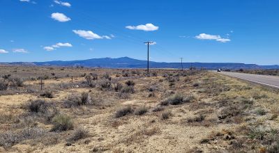 Hwy 509 Frontage - Power at road - Near Ambrosia Lake - Four 1-acre parcels available
