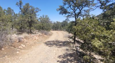 Santa Fe County New Mexico 5 acres in the Mountains - Seasonal Creeks