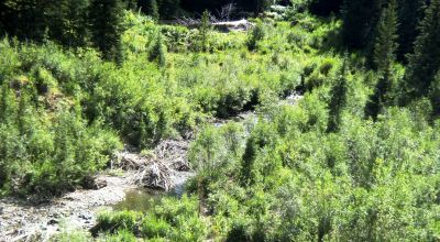 Scenic Pristine Colorado Mountain land - Henson Creek flows thru property