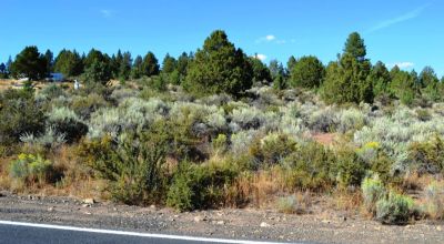 Paved road. Power! East of the Town of Sprague River. Site builds, mobiles, modulars allowed